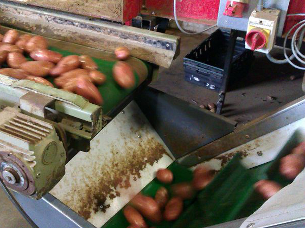 Caythorp Farmers PIM (1)